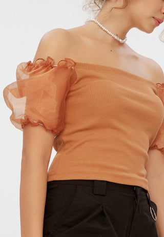 Two Fabric Balloon Sleeve Blouse