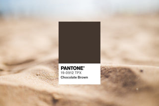 5 Pilihan Warna Terbaik untuk Mix and Match Outfit Cokelat