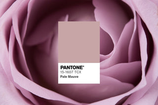 Unik dan Anti Mati Gaya! Ini 5 Warna yang Cocok dengan Mauve