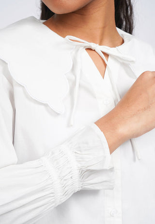Long Sleeve Peterpan Collar Blouse