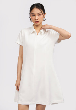 Short Sleeve Collared Mini Dress