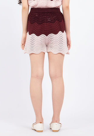 Wavy Gradient Knit Shorts