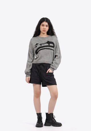 Long Sleeve Distressed Crop Sweater