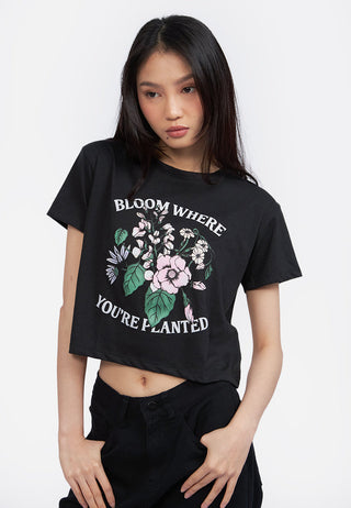 Short Sleeve Crop Graphic T-Shirt