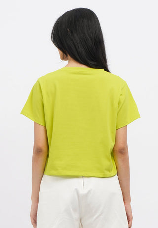 Short Sleeve Basic Boxy Crop T-Shirt
