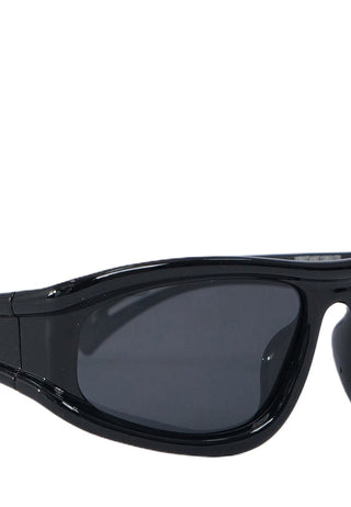 Wayfarer Sunglasses