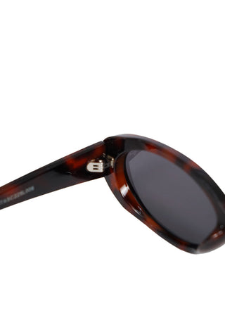 Brown Sunglasses