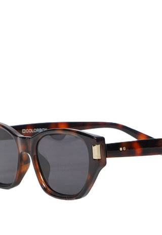 Brown Sunglasses