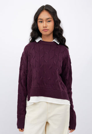 Contrast Collar Cable Knit Sweater