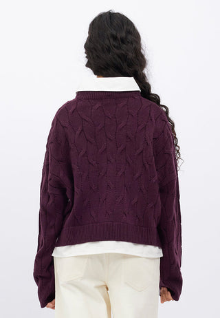 Contrast Collar Cable Knit Sweater