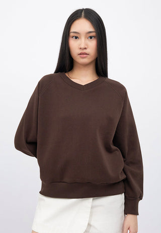 Oversized V-Neck Raglan Sweatshirt