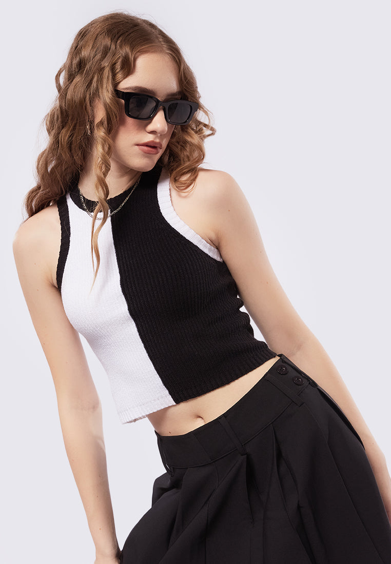 Colorblocked Top Colorblock Sleeveless Knit Top – COLORBOX - Indonesia